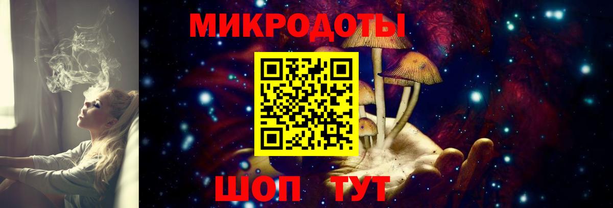Псилоцибиновые грибы Psilocybe Крымск